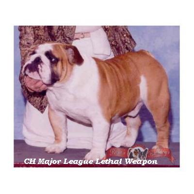 CH Major League Lethal Weapon