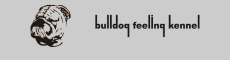 bulldogfeeling English bulldog breeder in Bulgaria ou Bulgarie