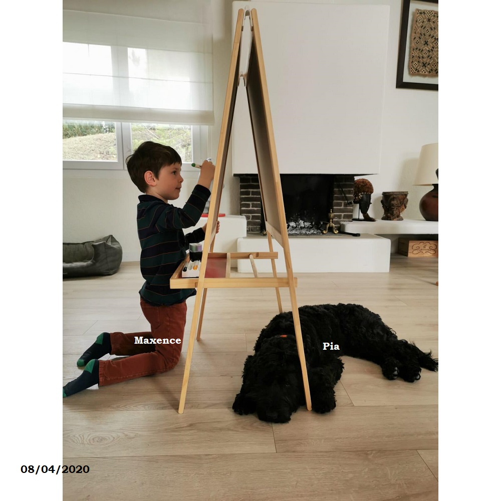 puppies portuguese water dog