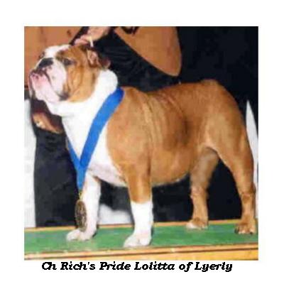 English bulldog : CH Rich’s Pride Lolita of Lyerly
